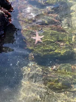 piątek i WAKAAAACJE!