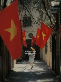 Tôi người Việt Nam 