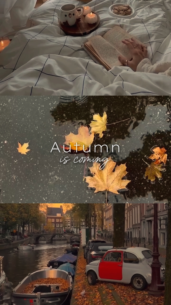 Autumn is coming