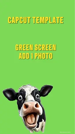 cow overlay
