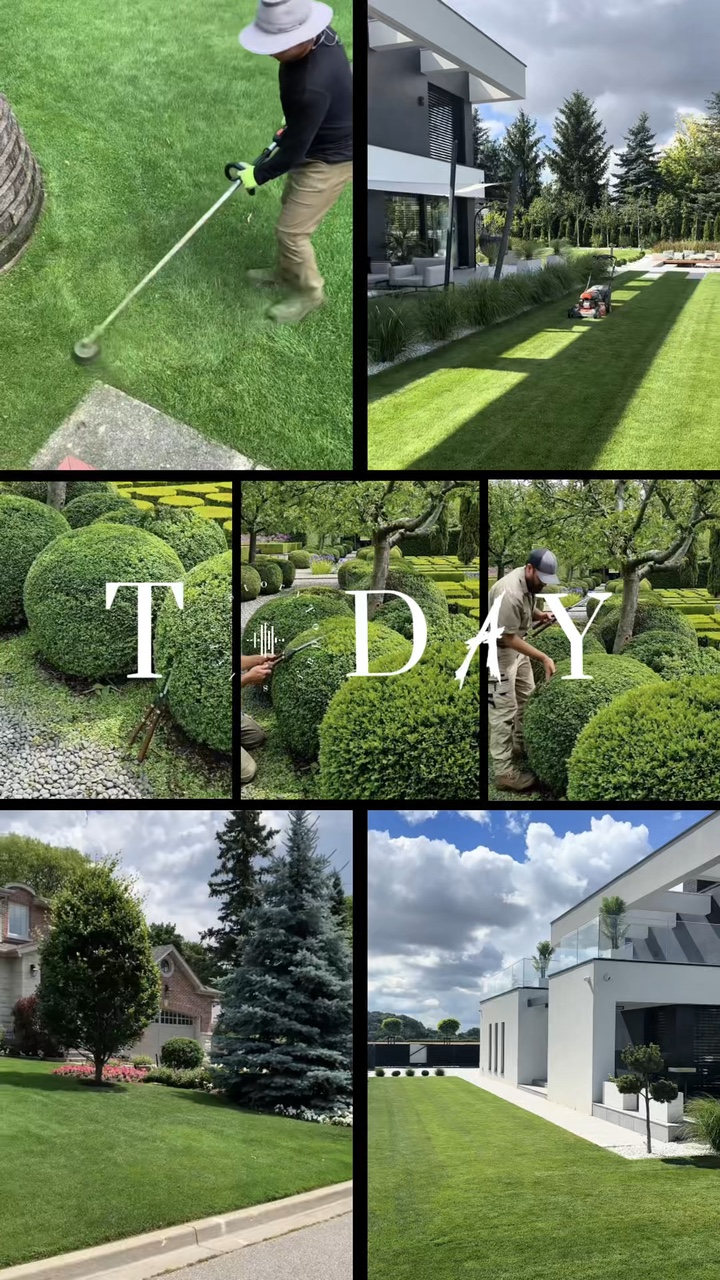 Jardinería