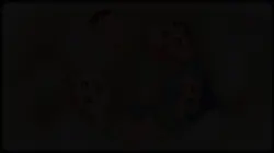 おら毎日「楽しい」