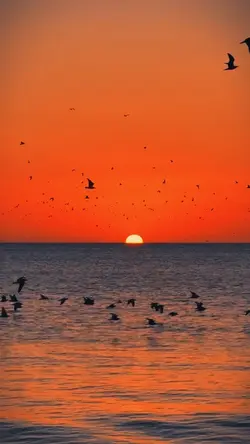 SLOWMO AESTHETIC