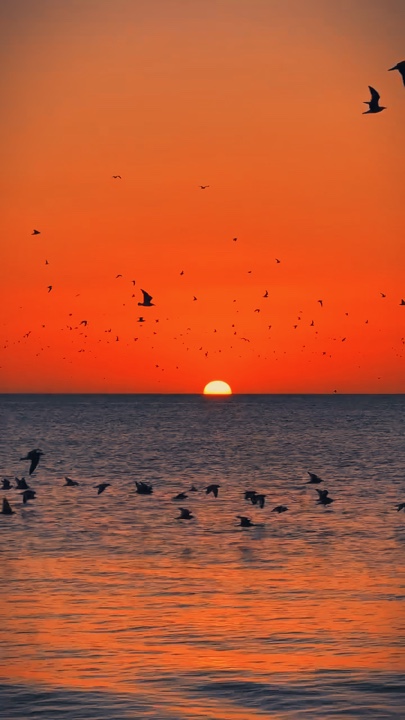SLOWMO ESTETİK 