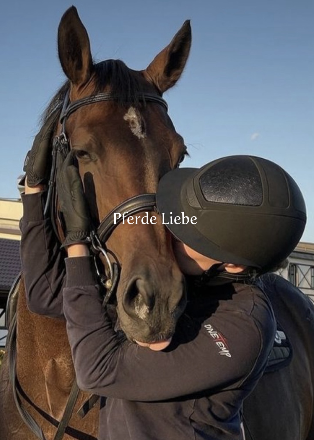 Pferde Liebe 🐴