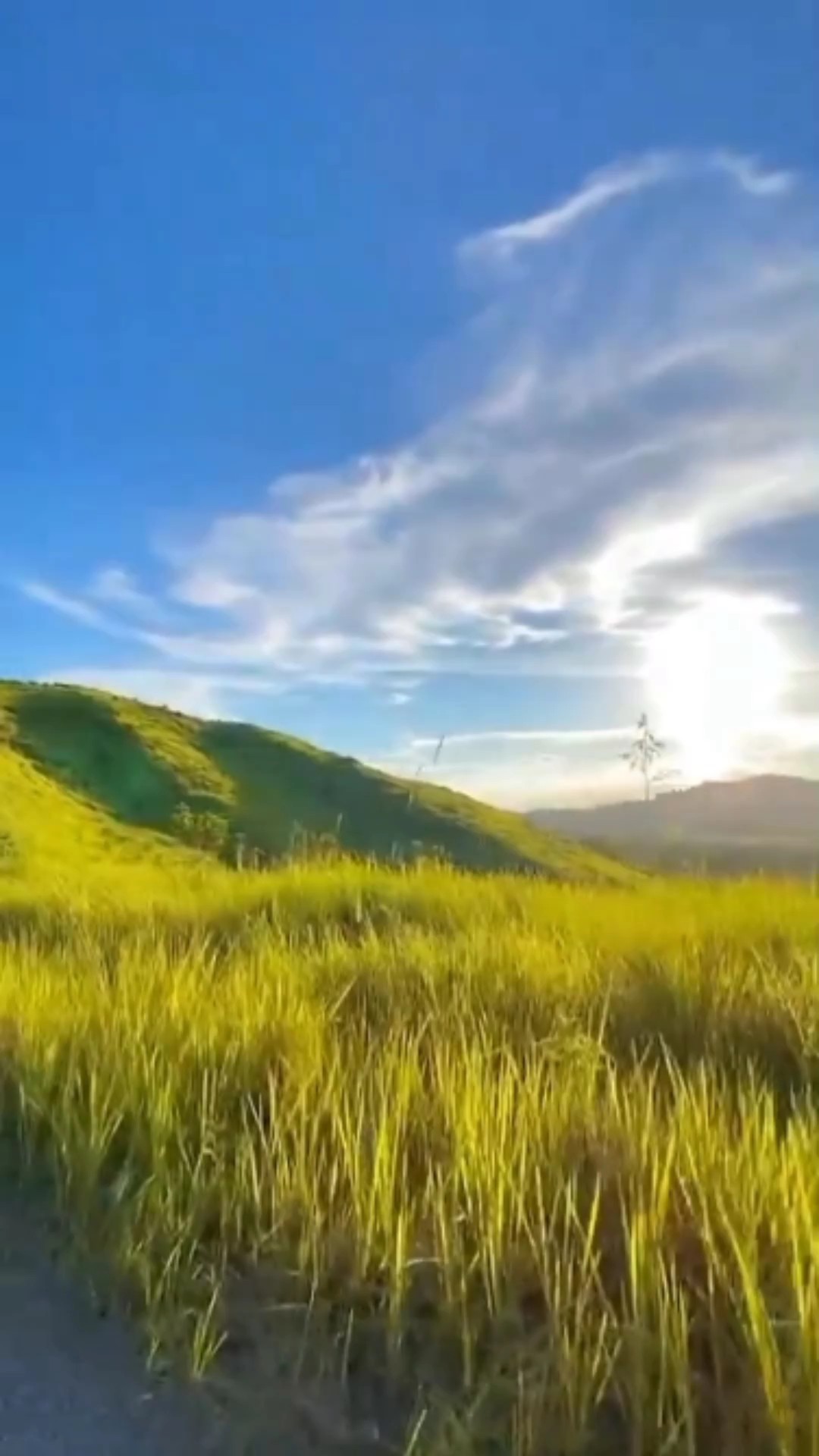 Perangkap Arab Slowmo 