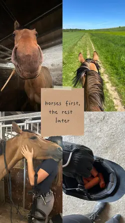 Horses first