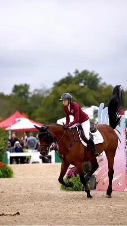 slowmo and 4k horse