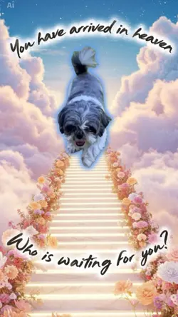 Heavens Gate