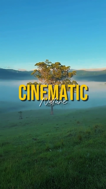 CINEMATIC NATURE