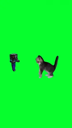 minecraft cat