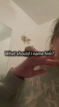 Best gets pinned!📌📌📌