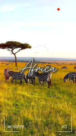 Cinematic Africa