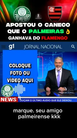 palmeiras x flamengo