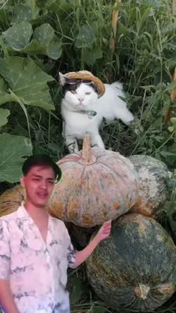 anak anjing