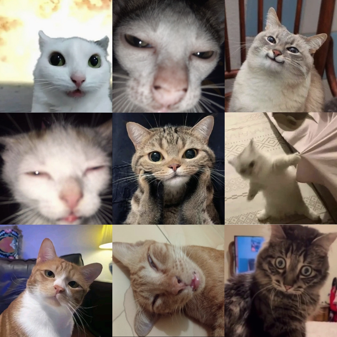 Collage 