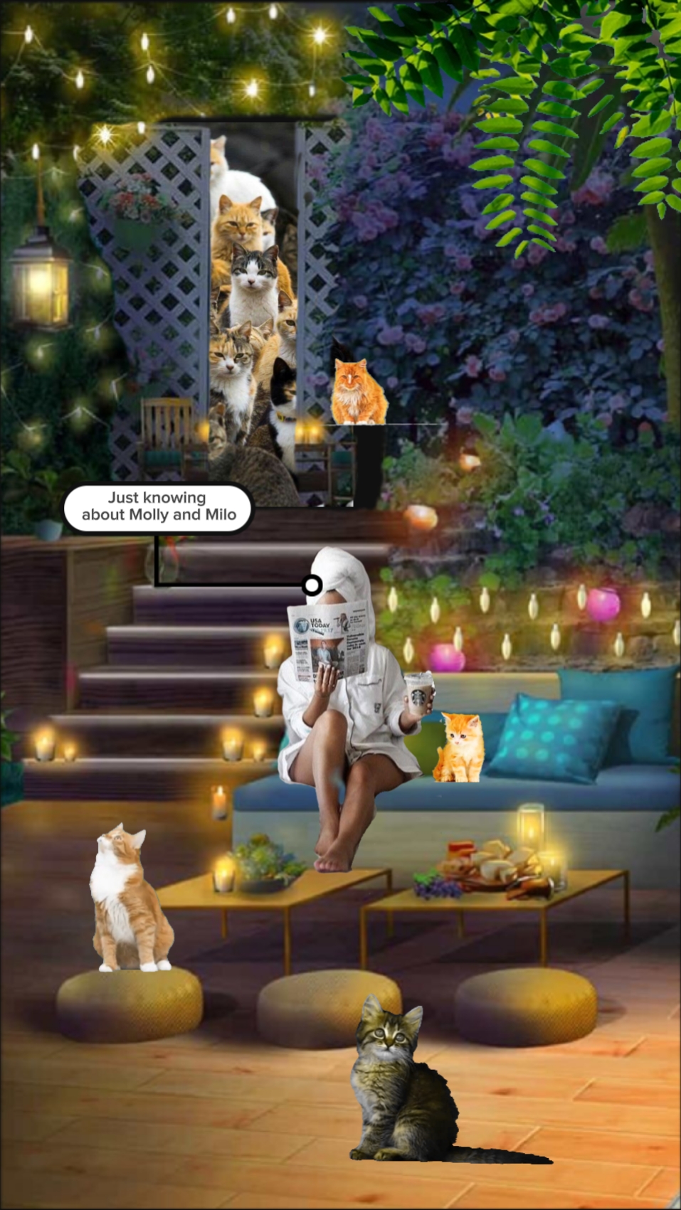 Mamá De Gatos