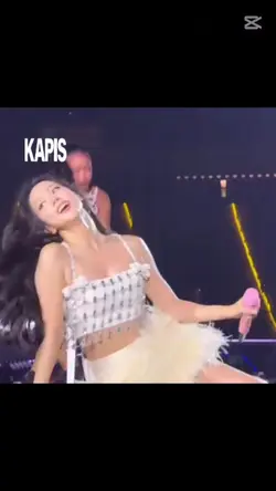 kapisbusiness