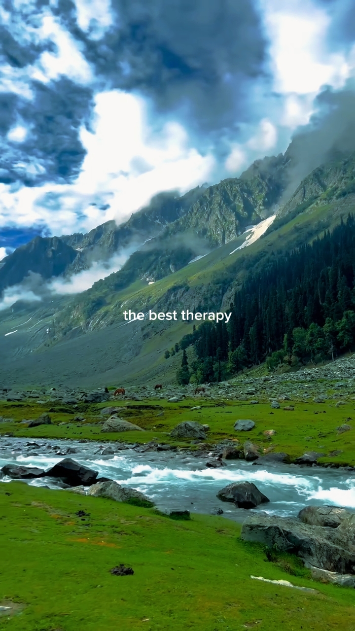 ang pinakamahusay na therapy 