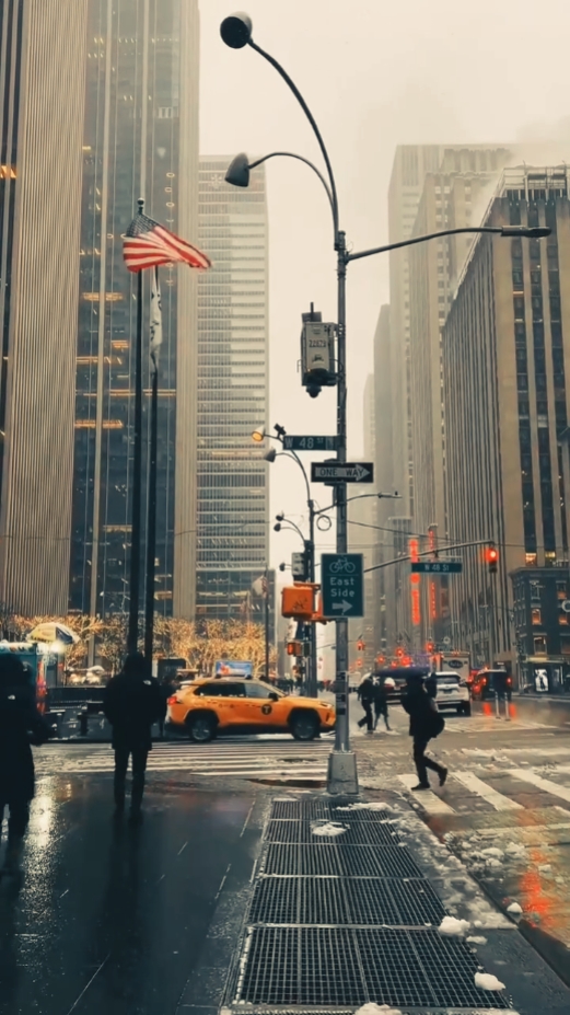 1 vidéo + 4 photos 