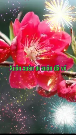 Xuân xuân ơi xuân