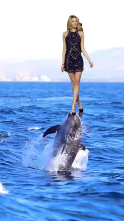dolphin