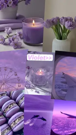 violet 