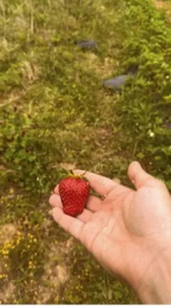 Farm life day 