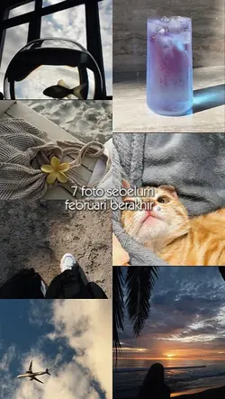 7 foto februari