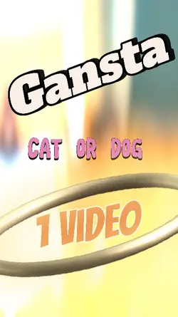 Cat Or Dog 1Vid-