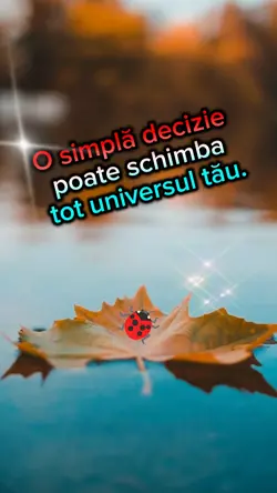 Schimbă Totul.
