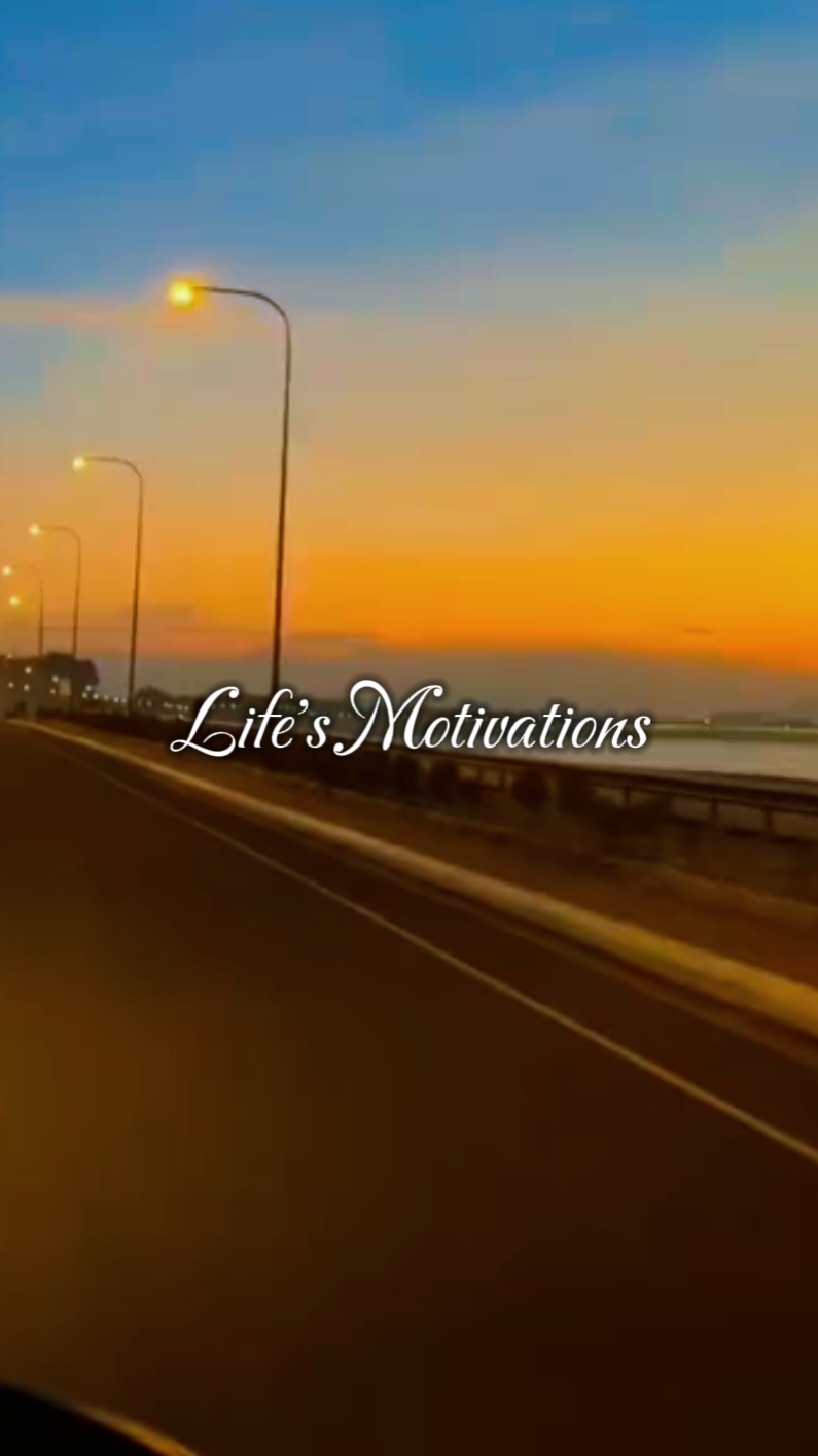 Life's Motivations