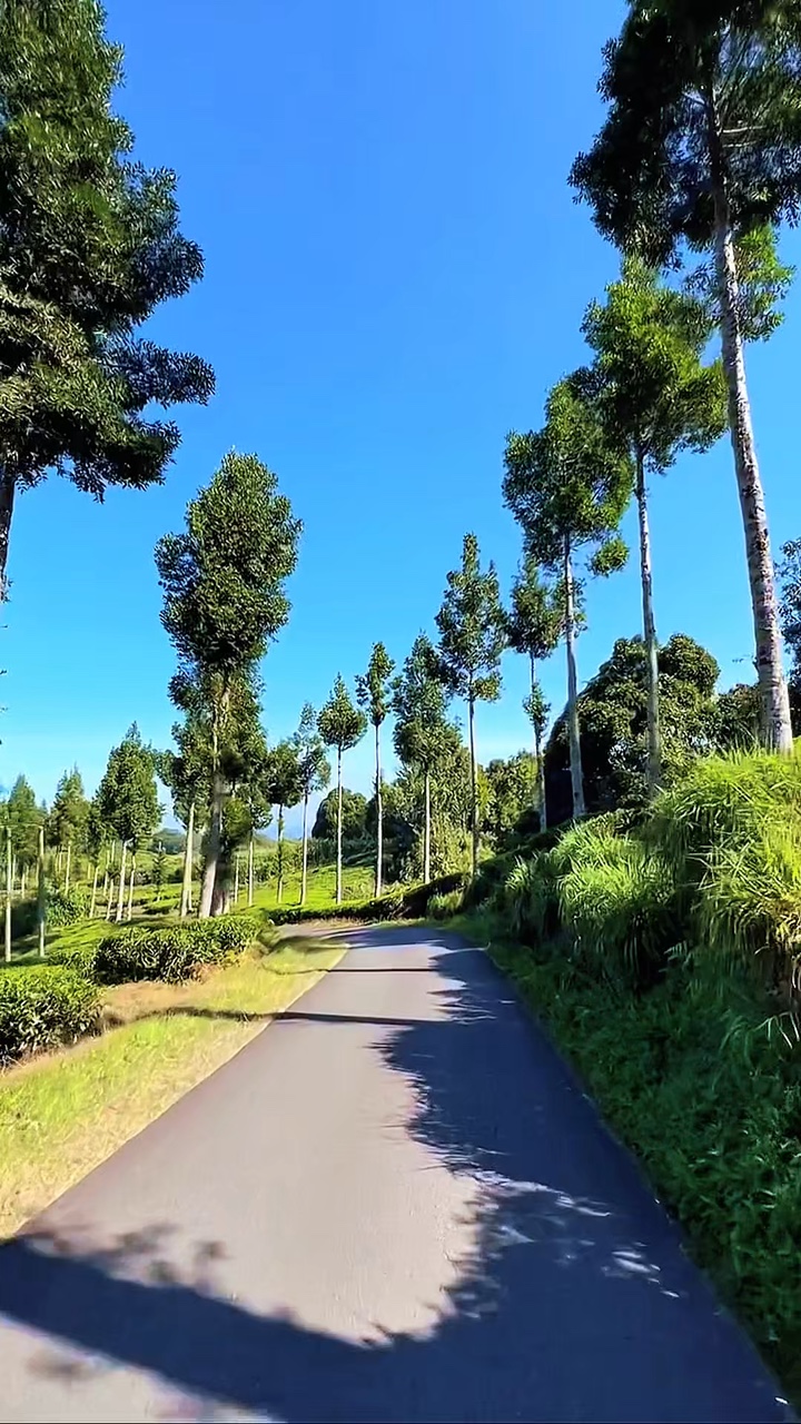 Viaje por carretera