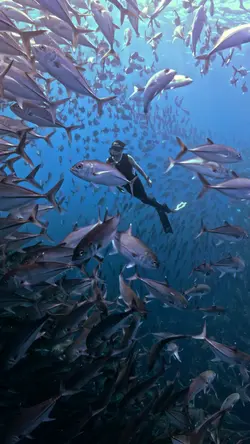 diving