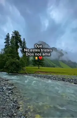 🥺🙇♂️
