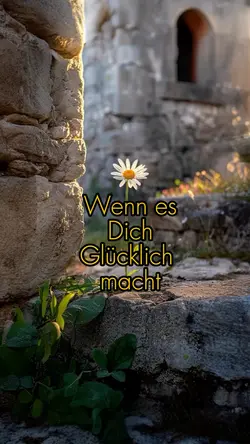 Schönste Zitat 
