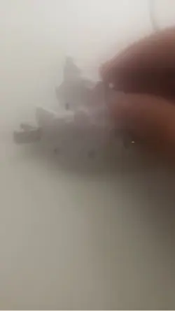 この歌すこ