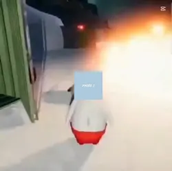 Penguin explosio