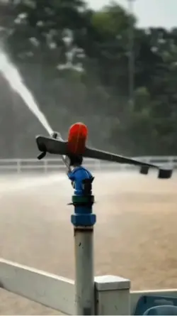 Sprinkler Trend 🚿