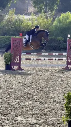  Love horse shows❤️AI