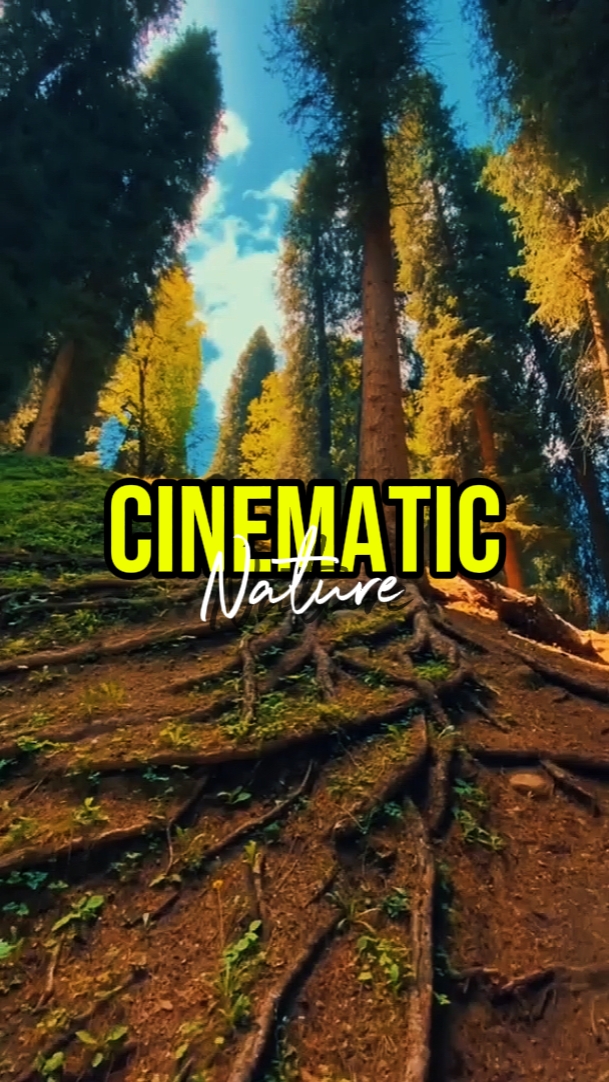 CINEMATIC