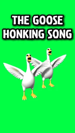GOOSE HONKING SONG