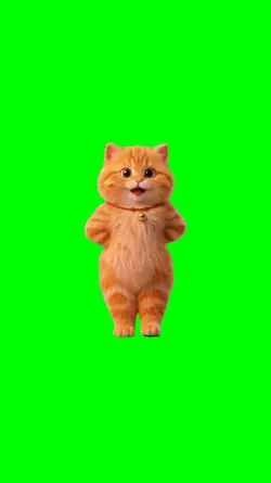 cat lovers