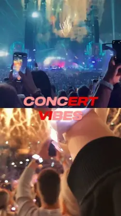 CONCERT VIBES