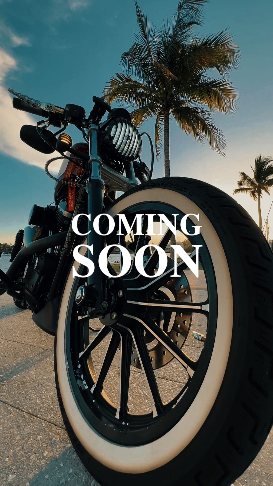 Segera hadir