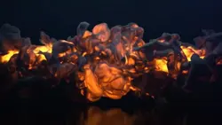 Intro