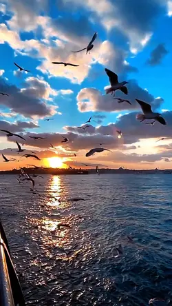 slowmo filter