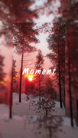 Lovely Moment