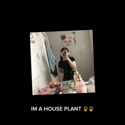 I’m a houseplant! 🪴🌱