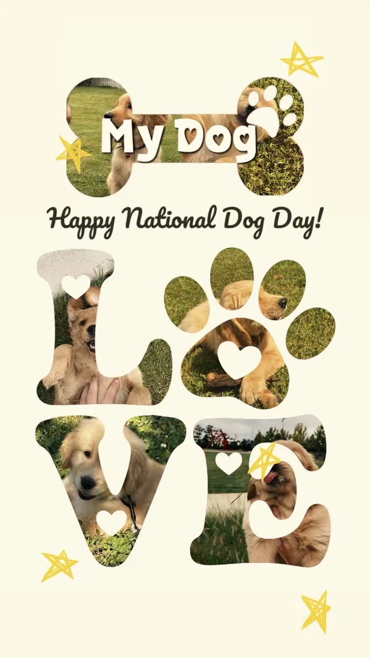 Happy national Dog
